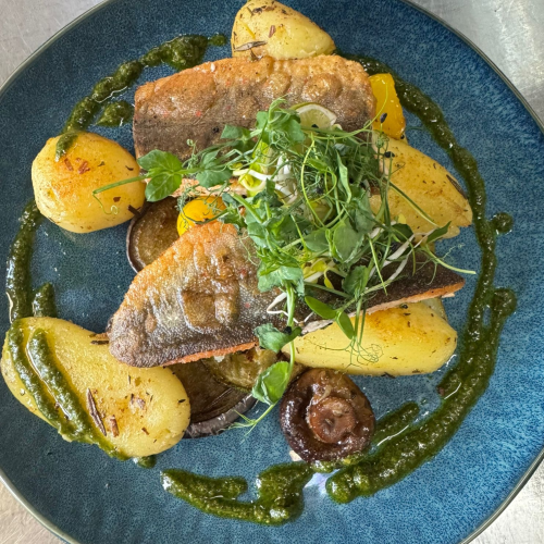 Gegrilltes Saiblings Filet aus dem Spessart