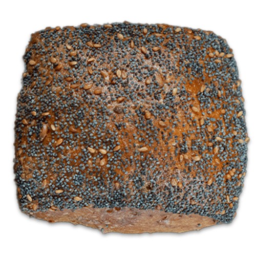 Weltmeisterbrötchen