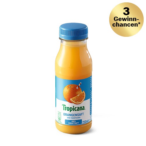 Orangensaft 0,25l EINWEG