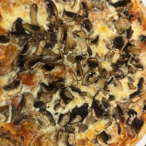 Pizza Funghi
