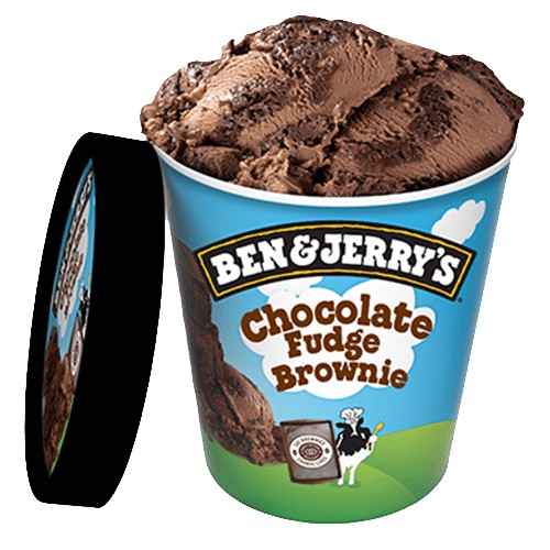 Ben & Jerry's Chocolate Fudge Brownie 465ml
