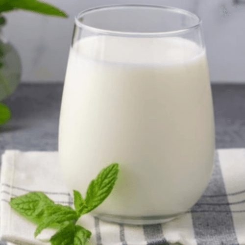 Ayran 0,2l