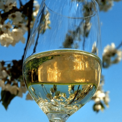 Weißwein 0,2l