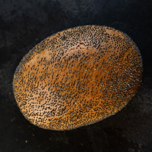Mohnbrötchen