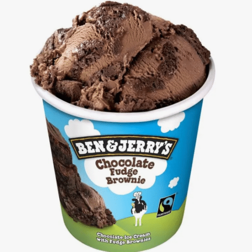 Ben & Jerrys Chocolate Fudge Brownie 100 ml