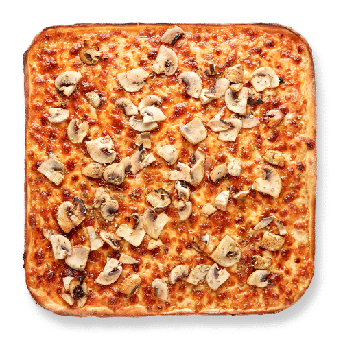 Pizza Funghi