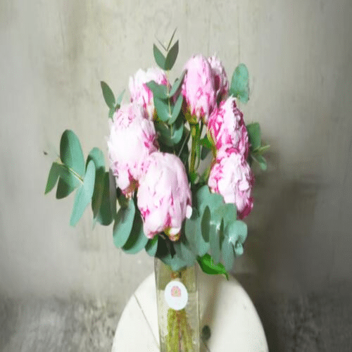 Peony Bliss