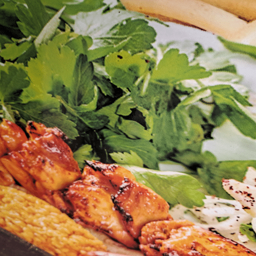 Tavuk Şiş (Hähnchenspieß) Teller