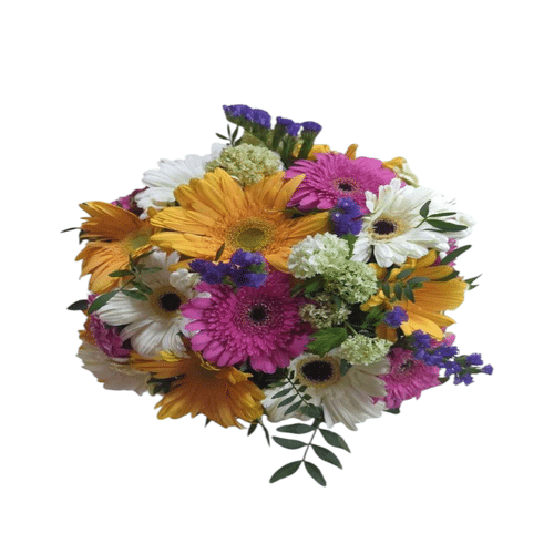 Gerbera Mix