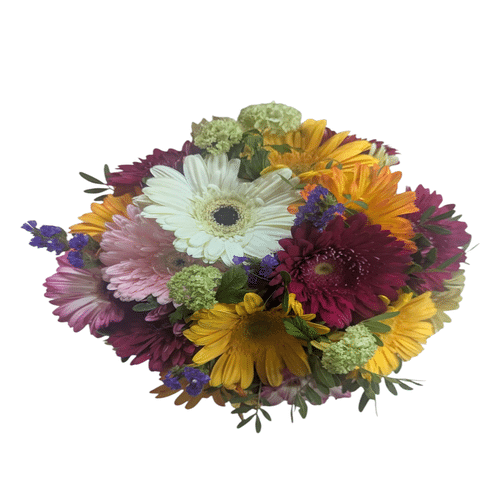 Gerbera Strauß