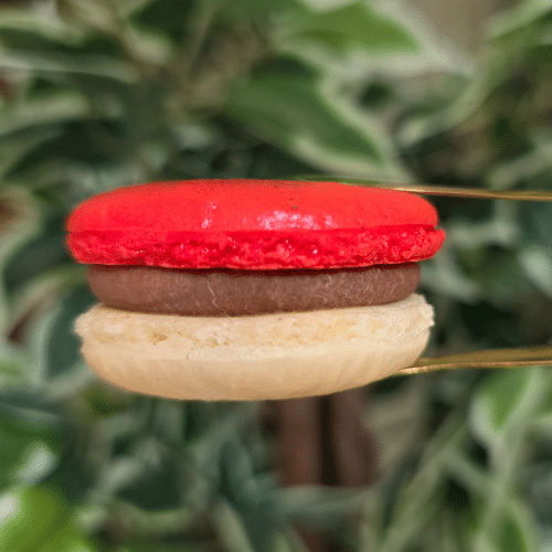 Nutella Macaron