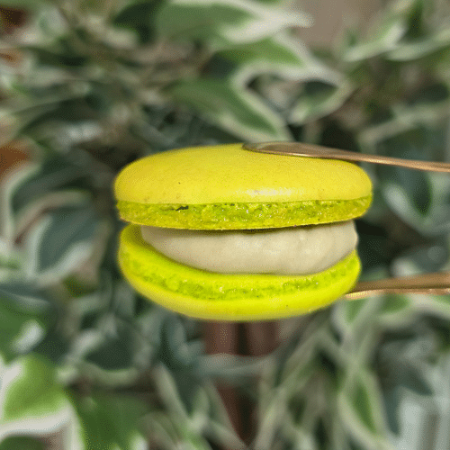 Pistazien Macaron