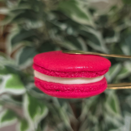 Red Velvet Macaron