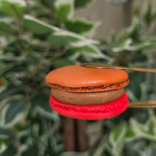 Snickers Macaron