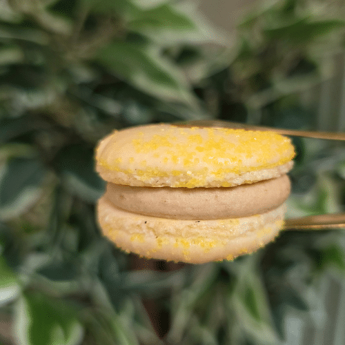 Spekulatius Macaron