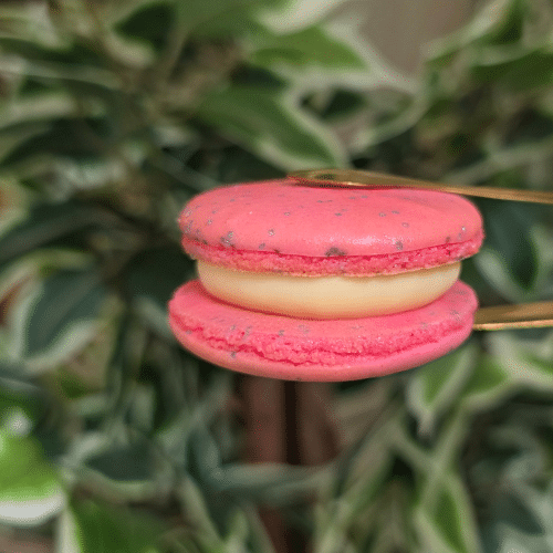 Strawberry Cheececake Macaron