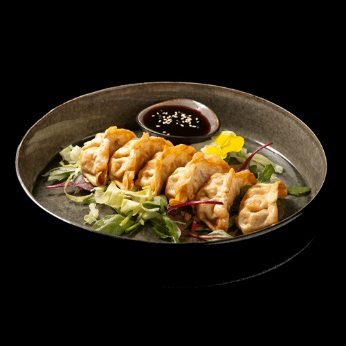 Gebratene Gyoza Tofu & Gemüse