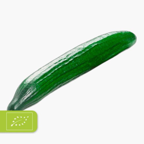 Bio Gurke 1 Stk.