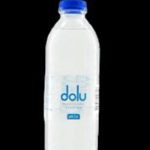 Stilles Wasser Bolu 0,25l (EINWEG)