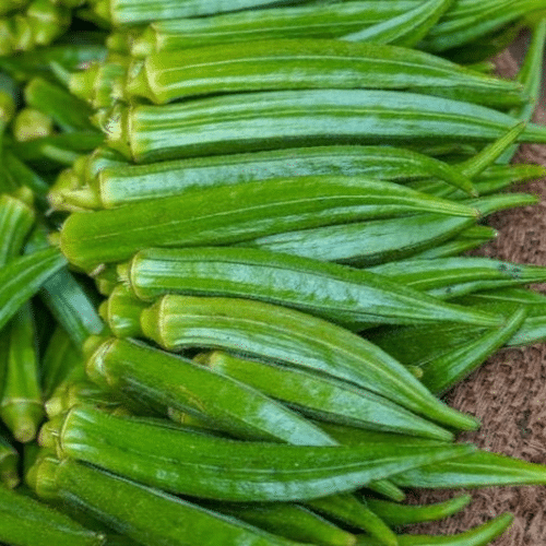 Okra