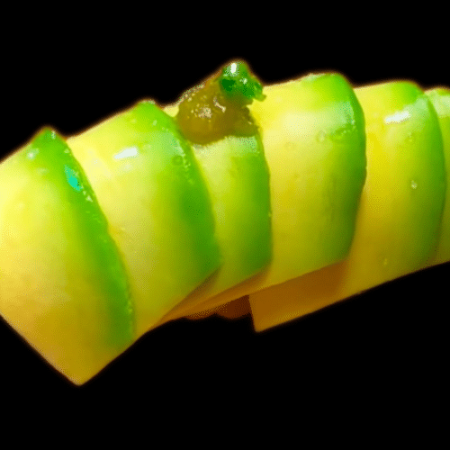 Avocado Nigiri 34