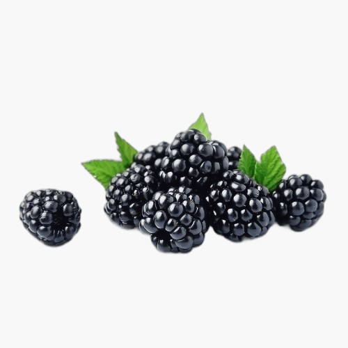 Brombeeren 125g