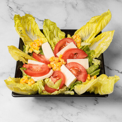 Tomaten-Mozzarella-Salat