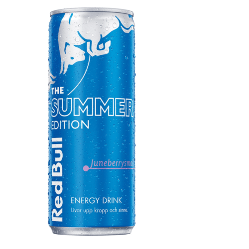 Red Bull Summer Edition: Juneberry 0.25l (EINWEG)