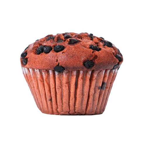 Blueberry Muffin