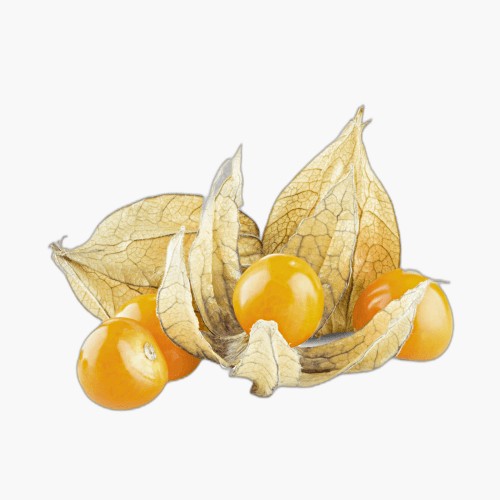 Physalis 100g