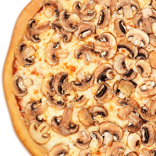 Pizza Funghi