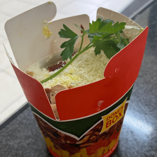 Dönerbox mit Salat und einer Zutat nach Wahl