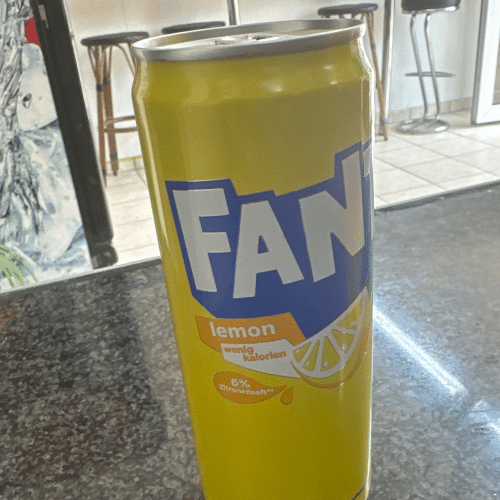 Fanta Lemon und Elderflower 0,33l (EINWEG)