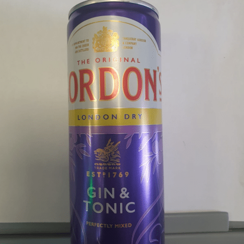 Gordon London Dry Gin & Tonic 0.25l (EINWEG)