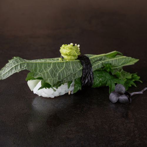 Sisho Gurke Nigiri