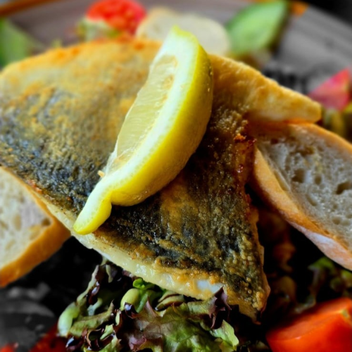 Dorade Grill