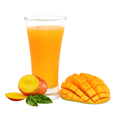 Rubicon Mangosaft 1,0l