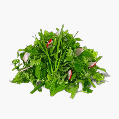 Wildkräutersalat 125g