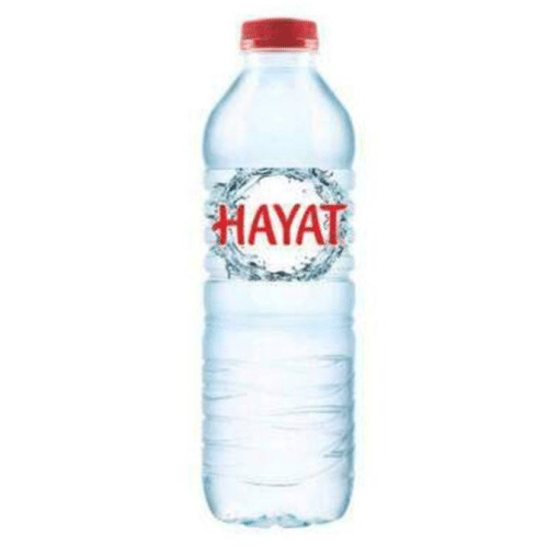 Hayat Wasser still 0,5l (EINWEG)