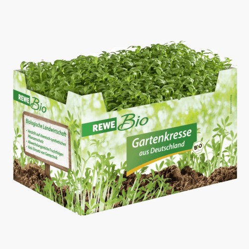 Rewe Bio Gartenkresse 1 Stk.