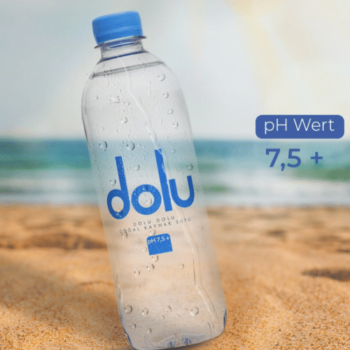 Wasser still 0,5l (EINWEG)