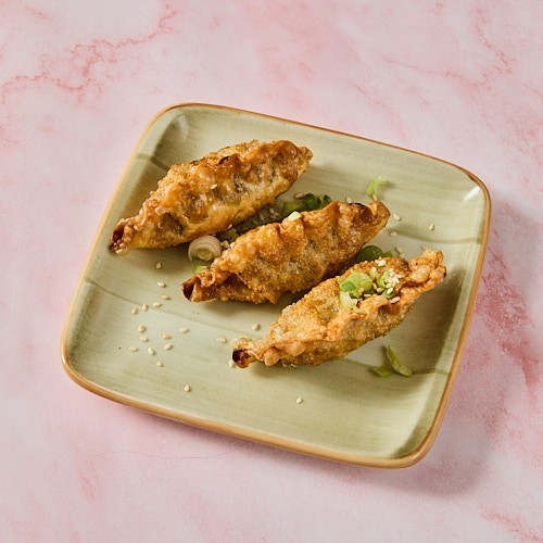 Bulgogi Mandu (gebacken)