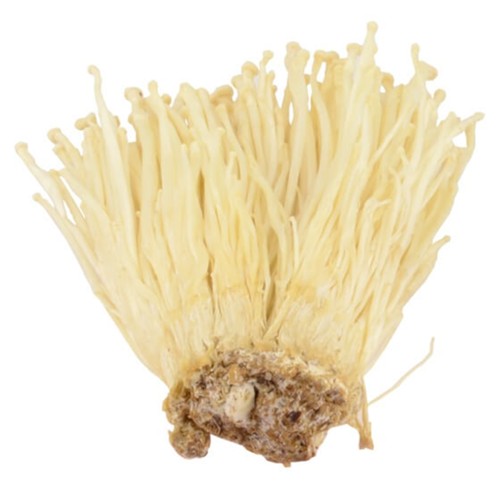 Enoki Pilzen 100g