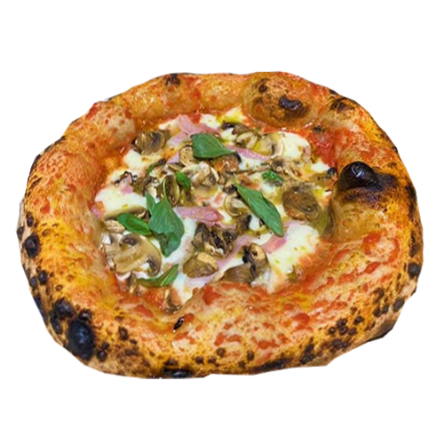 Pizza Capricciosa