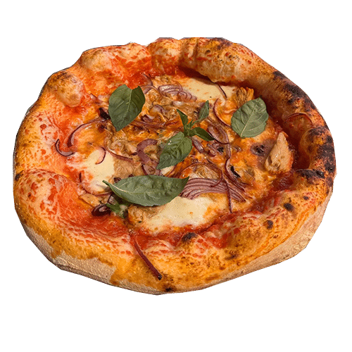 Tonno E Cipolla