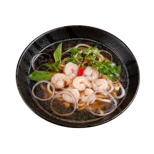 Udon Nudeln Suppe