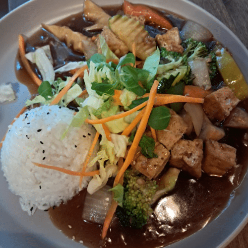 Teriyaki Tofu Bio