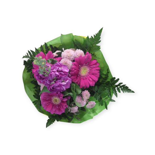 Intensives Pink, verspieltes Violett , frisch wie Sommerbeeren
