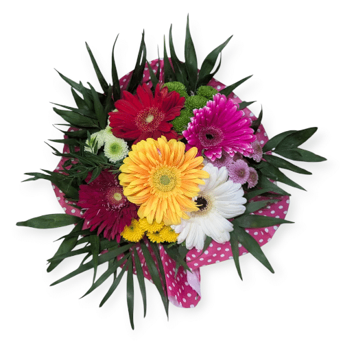 Gerbera-Mix auf pinkem Papier , ein echter Gute-Laune-Booster