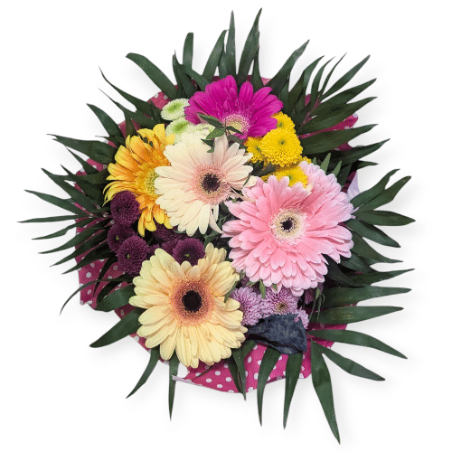 Zarte Gerbera in Rosa, Creme und Pfirsich , feminin und beruhigend